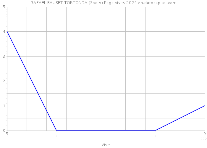 RAFAEL BAUSET TORTONDA (Spain) Page visits 2024 