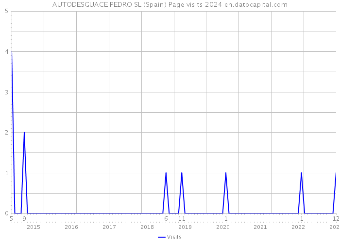 AUTODESGUACE PEDRO SL (Spain) Page visits 2024 