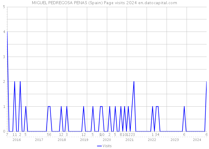 MIGUEL PEDREGOSA PENAS (Spain) Page visits 2024 