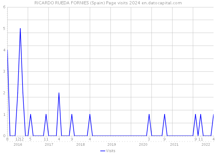 RICARDO RUEDA FORNIES (Spain) Page visits 2024 