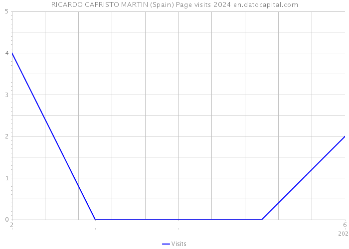 RICARDO CAPRISTO MARTIN (Spain) Page visits 2024 