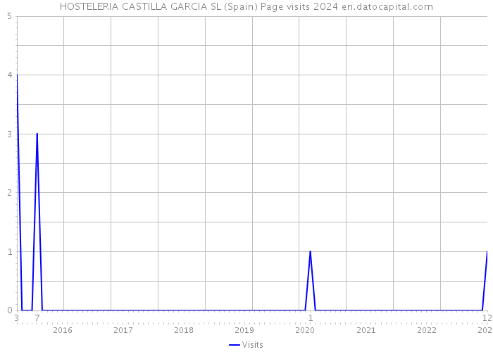HOSTELERIA CASTILLA GARCIA SL (Spain) Page visits 2024 