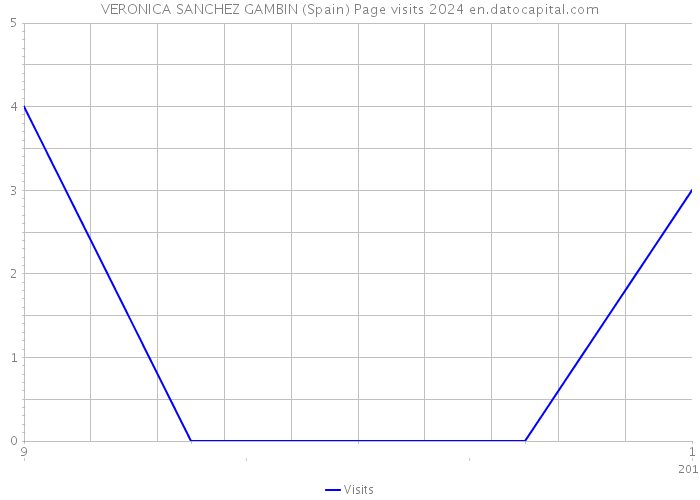 VERONICA SANCHEZ GAMBIN (Spain) Page visits 2024 