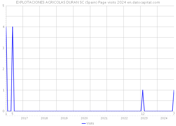 EXPLOTACIONES AGRICOLAS DURAN SC (Spain) Page visits 2024 