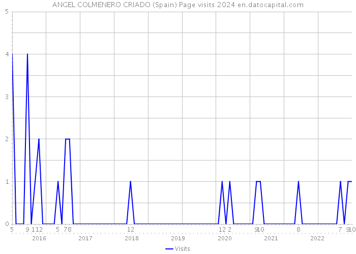 ANGEL COLMENERO CRIADO (Spain) Page visits 2024 