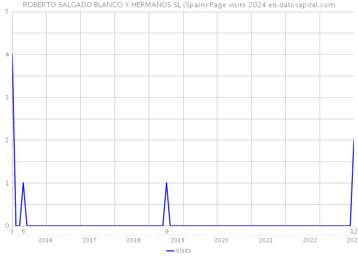 ROBERTO SALGADO BLANCO Y HERMANOS SL (Spain) Page visits 2024 
