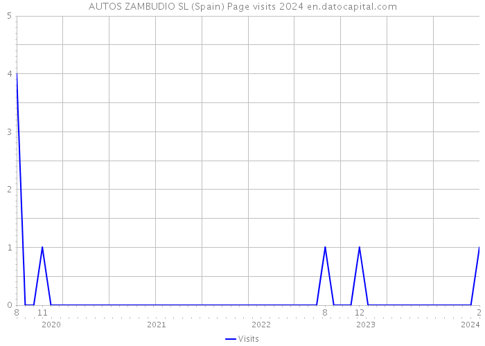 AUTOS ZAMBUDIO SL (Spain) Page visits 2024 