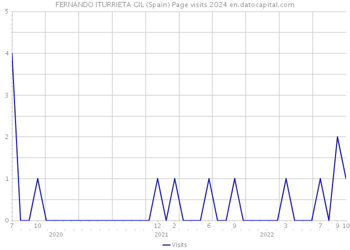 FERNANDO ITURRIETA GIL (Spain) Page visits 2024 