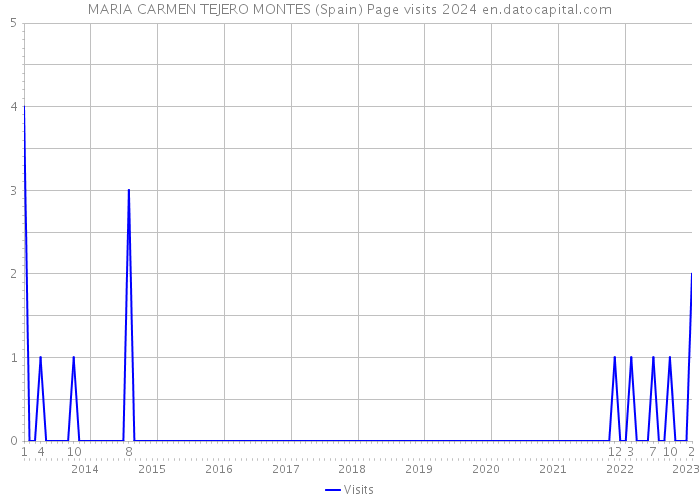 MARIA CARMEN TEJERO MONTES (Spain) Page visits 2024 