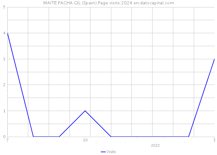 MAITE PACHA GIL (Spain) Page visits 2024 