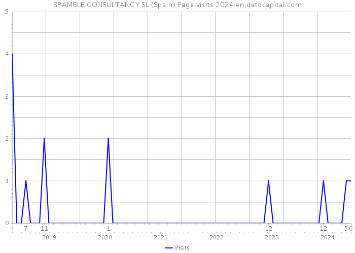 BRAMBLE CONSULTANCY SL (Spain) Page visits 2024 