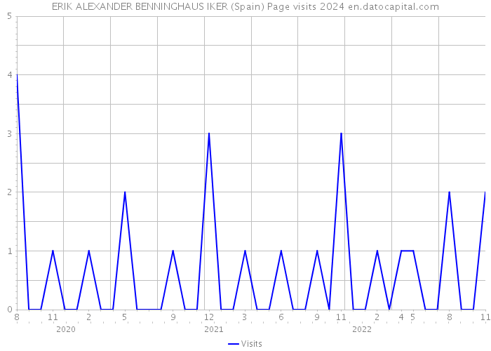 ERIK ALEXANDER BENNINGHAUS IKER (Spain) Page visits 2024 