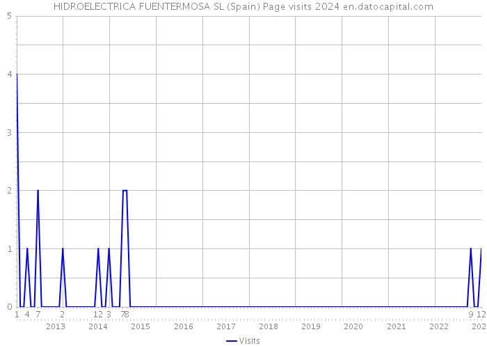 HIDROELECTRICA FUENTERMOSA SL (Spain) Page visits 2024 