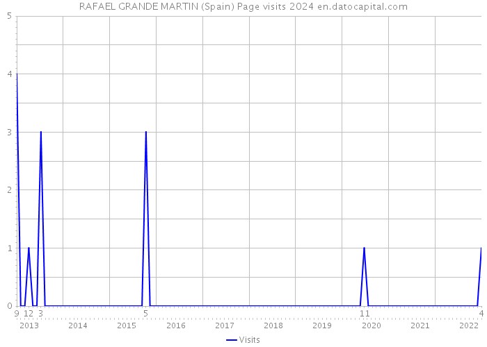 RAFAEL GRANDE MARTIN (Spain) Page visits 2024 