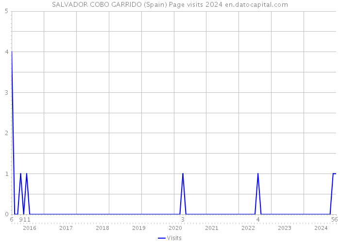 SALVADOR COBO GARRIDO (Spain) Page visits 2024 