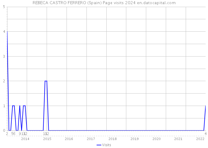 REBECA CASTRO FERRERO (Spain) Page visits 2024 