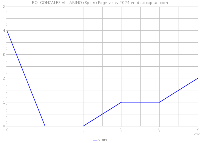 ROI GONZALEZ VILLARINO (Spain) Page visits 2024 