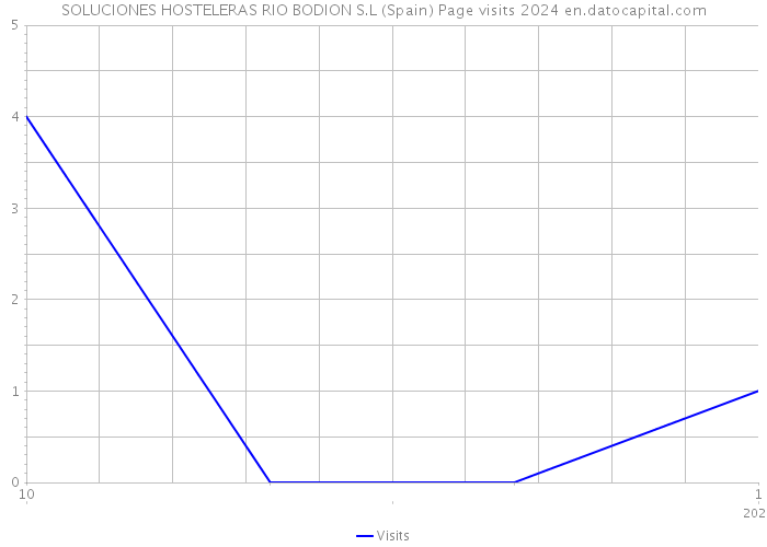 SOLUCIONES HOSTELERAS RIO BODION S.L (Spain) Page visits 2024 