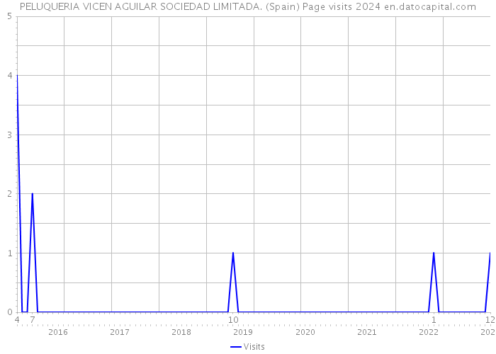 PELUQUERIA VICEN AGUILAR SOCIEDAD LIMITADA. (Spain) Page visits 2024 