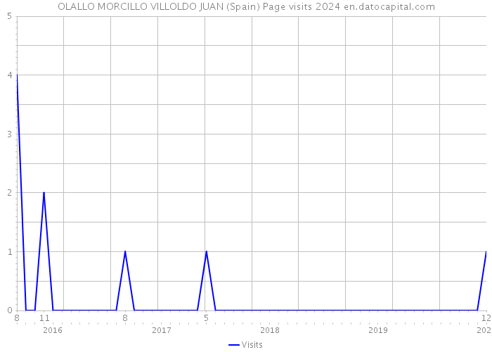 OLALLO MORCILLO VILLOLDO JUAN (Spain) Page visits 2024 