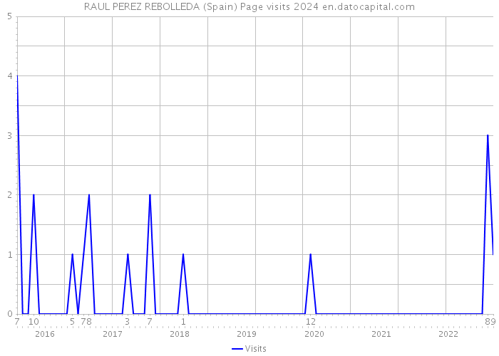 RAUL PEREZ REBOLLEDA (Spain) Page visits 2024 