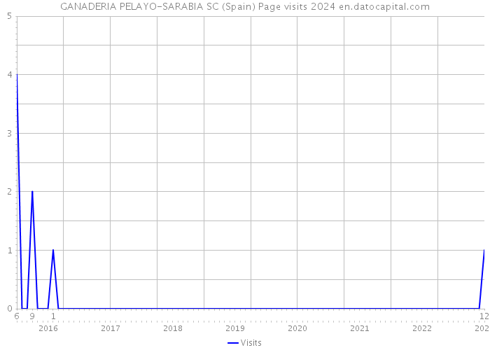 GANADERIA PELAYO-SARABIA SC (Spain) Page visits 2024 