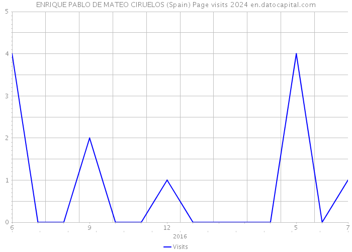 ENRIQUE PABLO DE MATEO CIRUELOS (Spain) Page visits 2024 