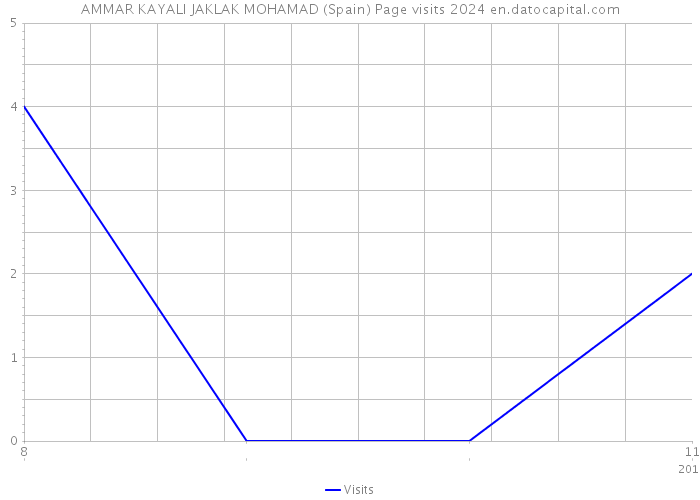 AMMAR KAYALI JAKLAK MOHAMAD (Spain) Page visits 2024 