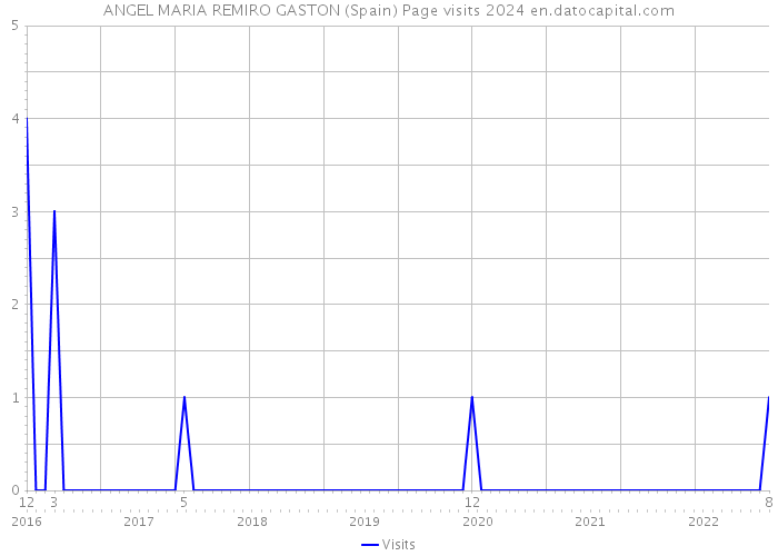 ANGEL MARIA REMIRO GASTON (Spain) Page visits 2024 