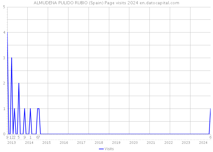 ALMUDENA PULIDO RUBIO (Spain) Page visits 2024 