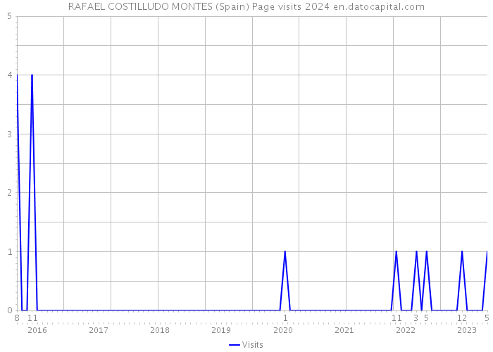 RAFAEL COSTILLUDO MONTES (Spain) Page visits 2024 