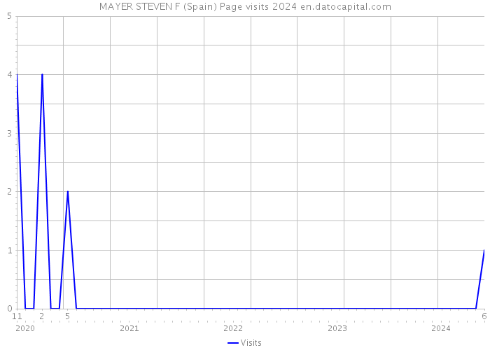 MAYER STEVEN F (Spain) Page visits 2024 