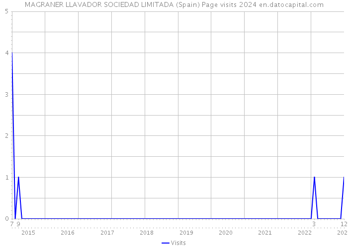 MAGRANER LLAVADOR SOCIEDAD LIMITADA (Spain) Page visits 2024 