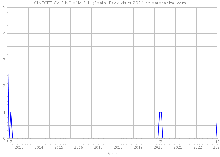 CINEGETICA PINCIANA SLL. (Spain) Page visits 2024 