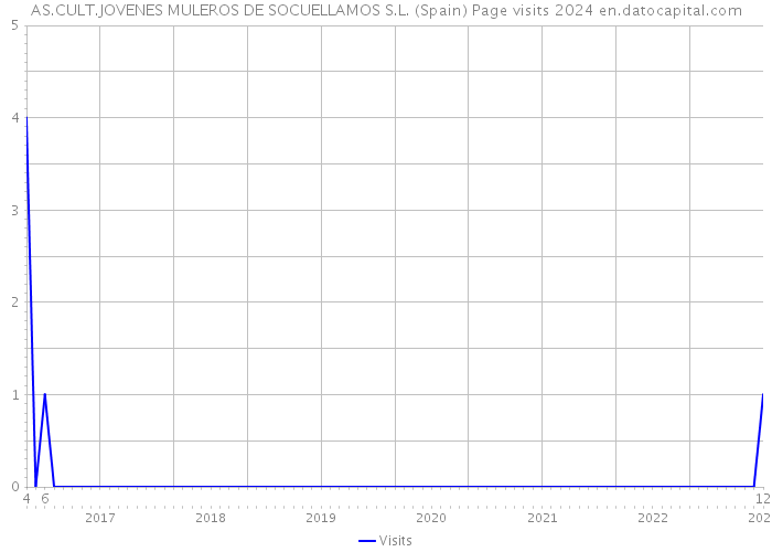 AS.CULT.JOVENES MULEROS DE SOCUELLAMOS S.L. (Spain) Page visits 2024 