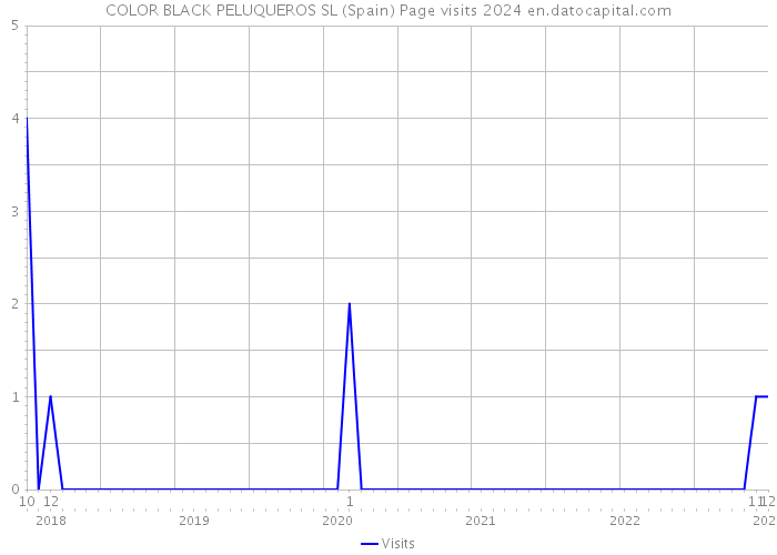 COLOR BLACK PELUQUEROS SL (Spain) Page visits 2024 
