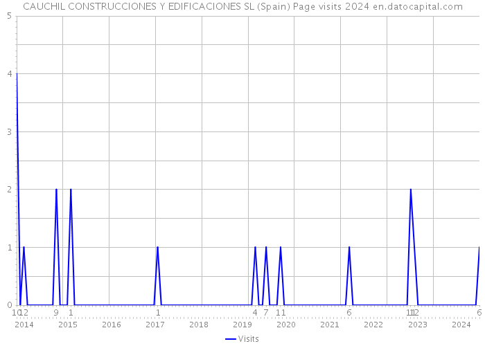 CAUCHIL CONSTRUCCIONES Y EDIFICACIONES SL (Spain) Page visits 2024 