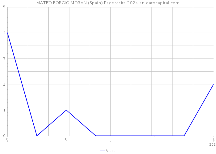 MATEO BORGIO MORAN (Spain) Page visits 2024 