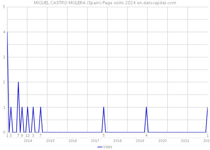 MIGUEL CASTRO MOLERA (Spain) Page visits 2024 
