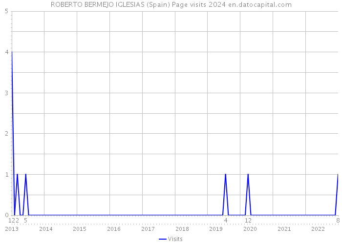 ROBERTO BERMEJO IGLESIAS (Spain) Page visits 2024 