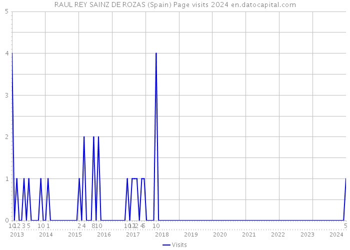 RAUL REY SAINZ DE ROZAS (Spain) Page visits 2024 