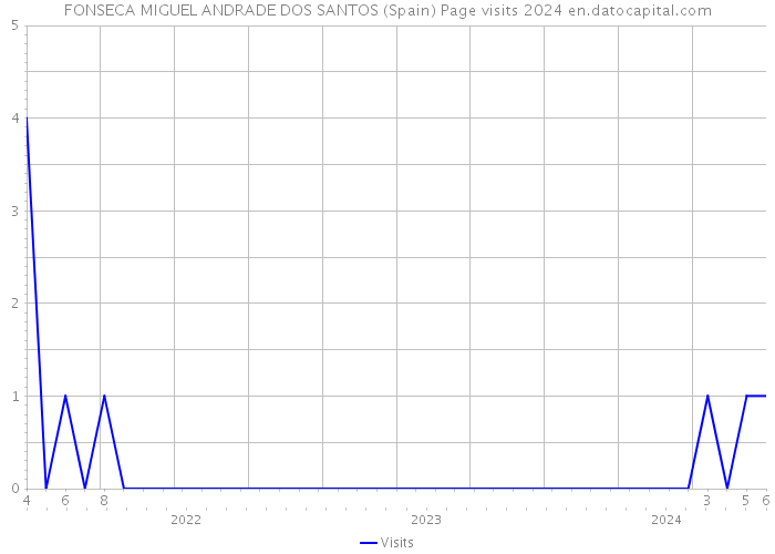 FONSECA MIGUEL ANDRADE DOS SANTOS (Spain) Page visits 2024 