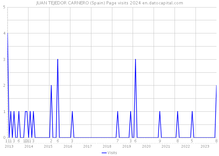 JUAN TEJEDOR CARNERO (Spain) Page visits 2024 