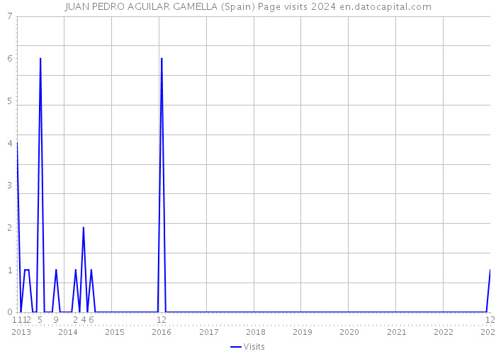 JUAN PEDRO AGUILAR GAMELLA (Spain) Page visits 2024 