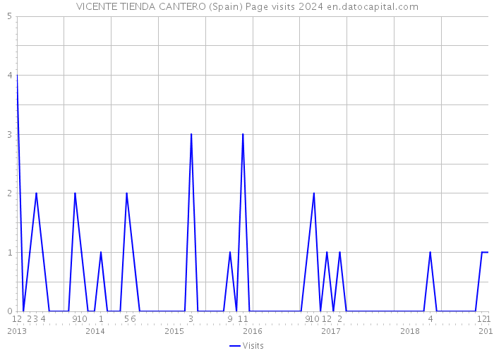 VICENTE TIENDA CANTERO (Spain) Page visits 2024 