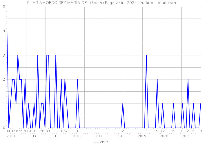 PILAR AMOEDO REY MARIA DEL (Spain) Page visits 2024 