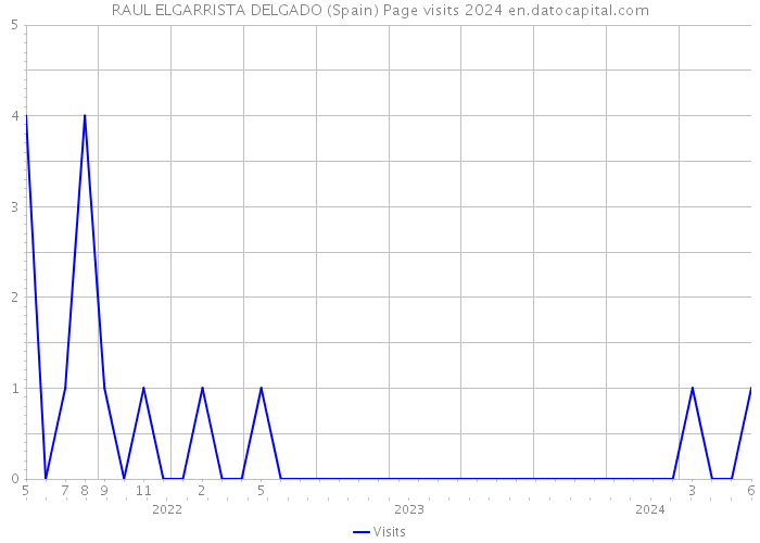 RAUL ELGARRISTA DELGADO (Spain) Page visits 2024 