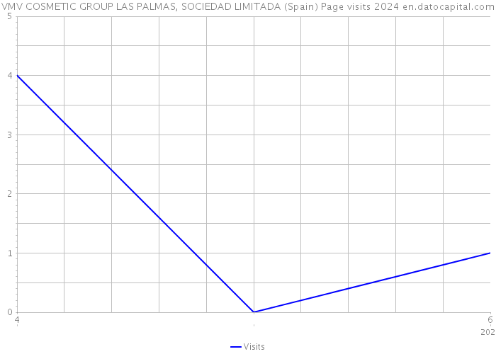 VMV COSMETIC GROUP LAS PALMAS, SOCIEDAD LIMITADA (Spain) Page visits 2024 