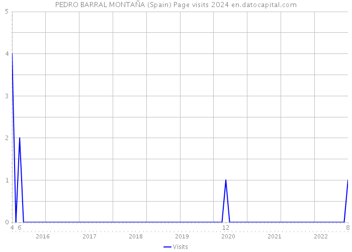 PEDRO BARRAL MONTAÑA (Spain) Page visits 2024 