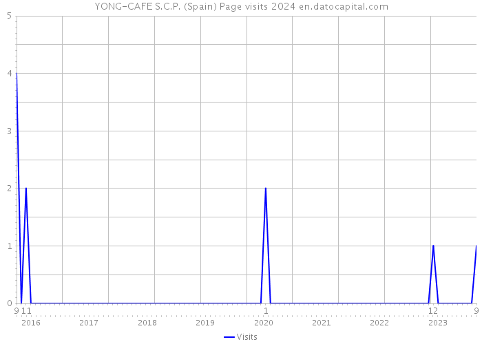YONG-CAFE S.C.P. (Spain) Page visits 2024 